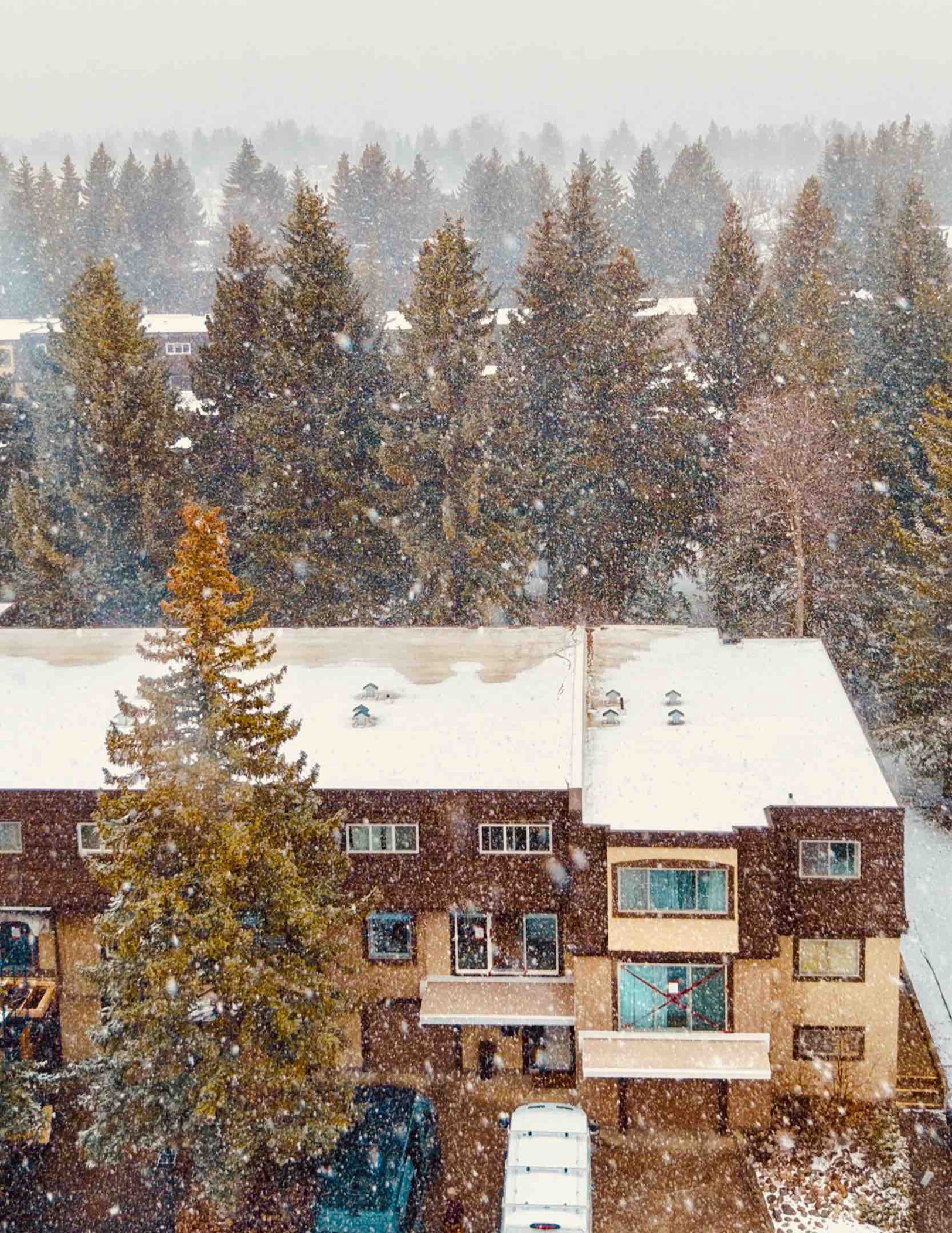 Report Cover Image
